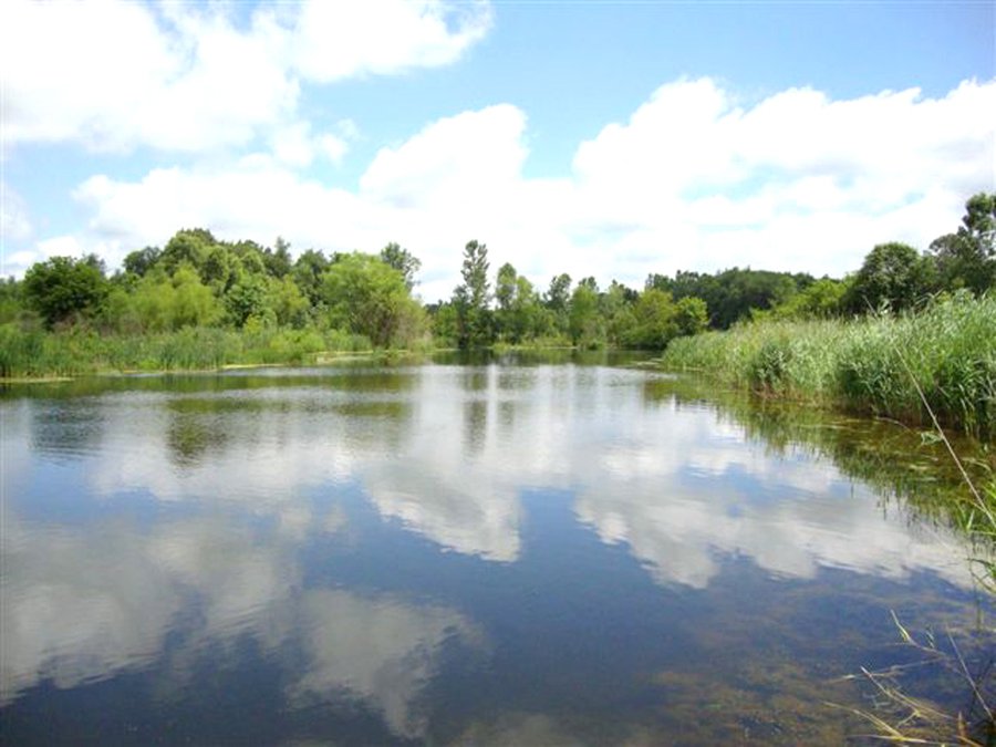 For sale: Wildlife and Recreation - Rochester
